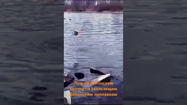 Ловля леща. Болонская удочка 5 метров. Скользящий болонский поплавок.