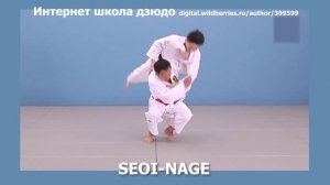 Интернет школа дзюдо. SEOI-NAGE
