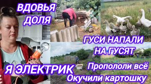 ВДОВЬЯ ДОЛЯ. ЭЛЕКТРО ПРОВОДКА ТОЖЕ НА МНЕ. ГУСИ НАПАЛИ НА ГУСЯТ. СУПЕР ЧИСТЫЙ ОГОРОД