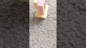 комнатка для котика