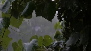 Звук дождя, Гром, Расслабляющая музыка, Медитация для сна