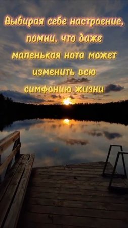 Симфония ЖИЗНИ