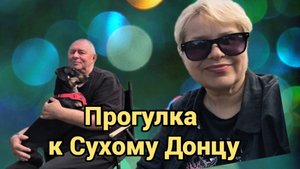 Двое в машине, не считая собаки или Пикник у обочины