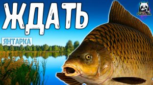 RF4 ДЛЯ НЕОЖИДАННОГО ЧУДА ПРОСТО НУЖНО ЖДАТЬ #рр4
