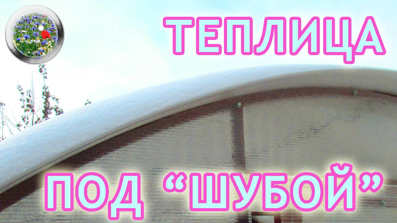 Как убрать снег с теплицы из поликарбоната? Поликарбонатная теплица зимой