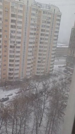 Метель в Москве