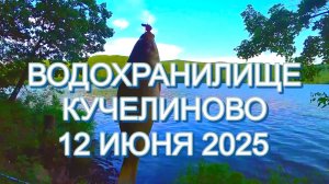 Водохранилище Кучелиново на день России 2025
