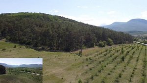 Аромат участок 3.3 Га Супер-коммерция