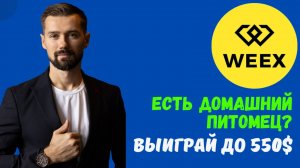 БИРЖА WEEX