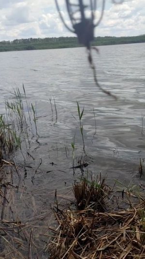 Первая летняя рыбалка