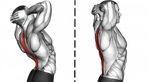 10 Упражнений для Улучшения Осанки и Облегчения Боли в Пояснице