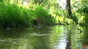 Ефрем Сирин О терпении часть 7