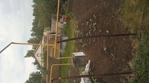 погода в деревне