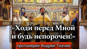 Когда люди пренебрегают Богом.. Протоиерей Андрей Ткачёв