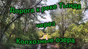 Дорога к реке Тында за Колкозными озерами.
13.06.2025