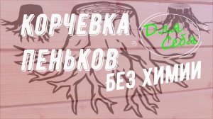 Как корчевать выкорчевать пень Экологично Без химии Корчевка пней Избавиться от пня своими руками