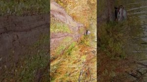 ИЗ АРХИВА КОП ЧЕРМЕТА 🛠️👍