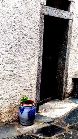 Камера захватила момент