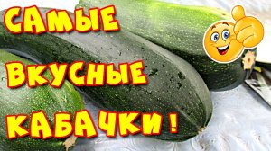 Кабачок цуккини "Черный красавец"