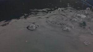 "БЕЗ НАПРЯЖЕНИЯ" кавер в исполнении АлександраЖивалея