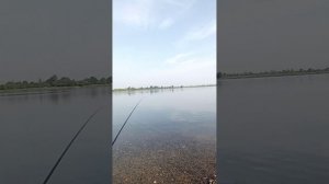 Воскресенье Калининский карьер.
