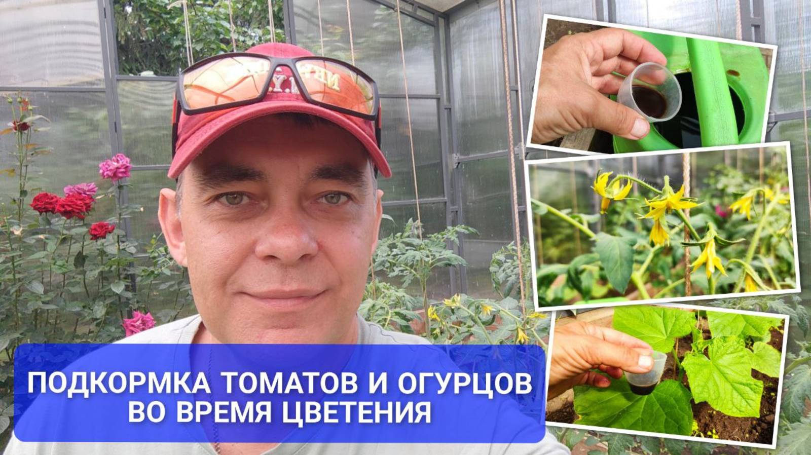 🔥Органическая подкормка томатов и огурцов в июне на максимальный урожай: нужна всего 1 ложка 🍅🥒
