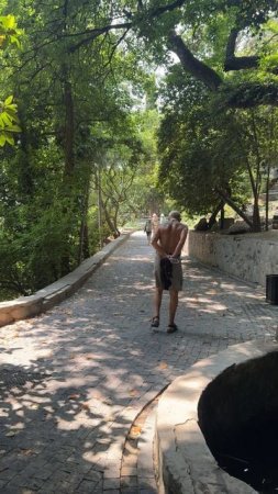 Спокойная атмосфера Воронцовского парка #воронцовскийпарк #алупка #алупкасегодня