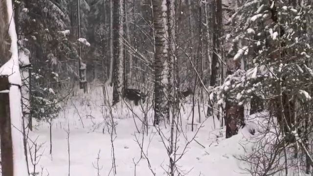 Осень, зима, весна и лето: жизнь мирянки в монастыре