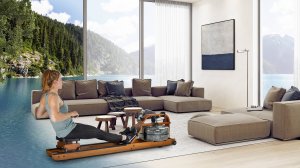 ГРЕБНОЙ ТРЕНАЖЕР FLUID ROWER VIKING 3 V