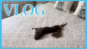 VLOG 15.06.2025 Ну не для этого мы это делаем!
