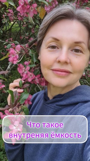 Внутренняя ёмкость
