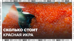 Стоимость красной икры может вырасти в 2025 году - Москва 24