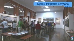Кубок Елагина острова