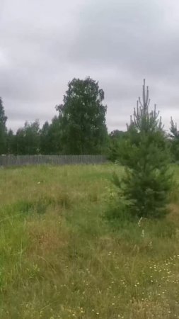 костоусово2 видео