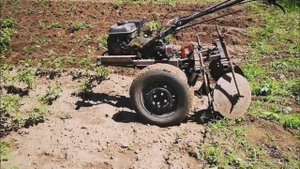 Прополка и окучивание картошки.