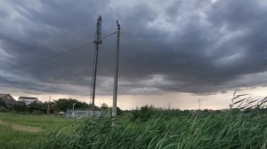 Камыш и дождевые тучи | небо