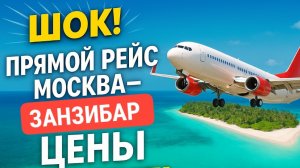 Занзибар ждет: когда вернутся ПРЯМЫЕ РЕЙСЫ из России? #занзибар #прямойрейс #москвазанзибар