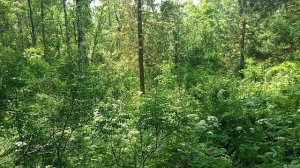 очередной выезд на разведку на сурка