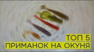 ТОП 5 силиконовых приманок для ловли окуня в 2025 — лучшие виброхвосты и твистеры