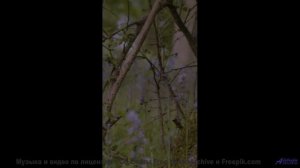 Мелодия, которая пробудит ваши самые глубокие желания! - Take A Breath -- Mr.ruiZ -- Winter Haze, Su