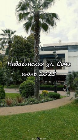 Навагинская улица, Сочи. Июнь 2025