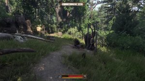 За Победу!!!!    Kingdom Come: Deliverance II #15.1