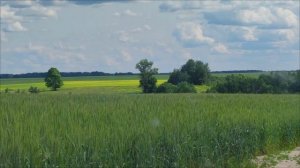 Древняя Мещера