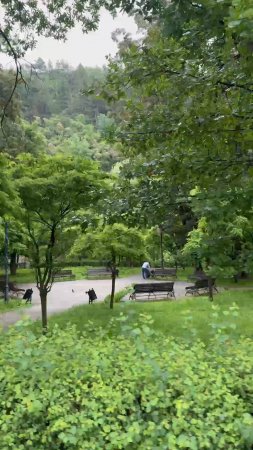 Кисловодский парк когда дождь становится частью красоты