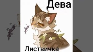 😻Какой ты Кот-Воитель по знаку зодиака?😻