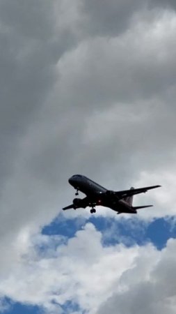 RA-73202 Airbus A319-111 Россия (ГТК) Имя: Владимир.