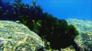 п. Южно-Морской.  Прибрежка - 2025г. (6) [ 4K ]