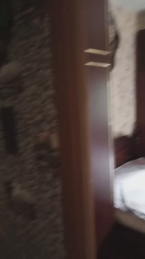 VID_20250601_141503