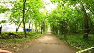 В поисках конька горбунка в Балашихе