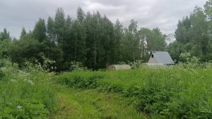 Мне не надо  Мальдив . У нас Релакс на даче.